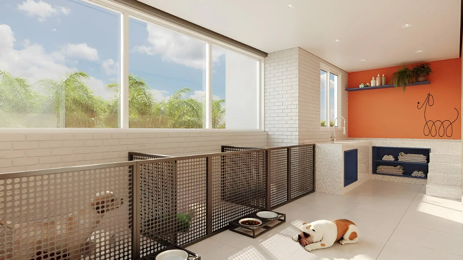 PET CARE